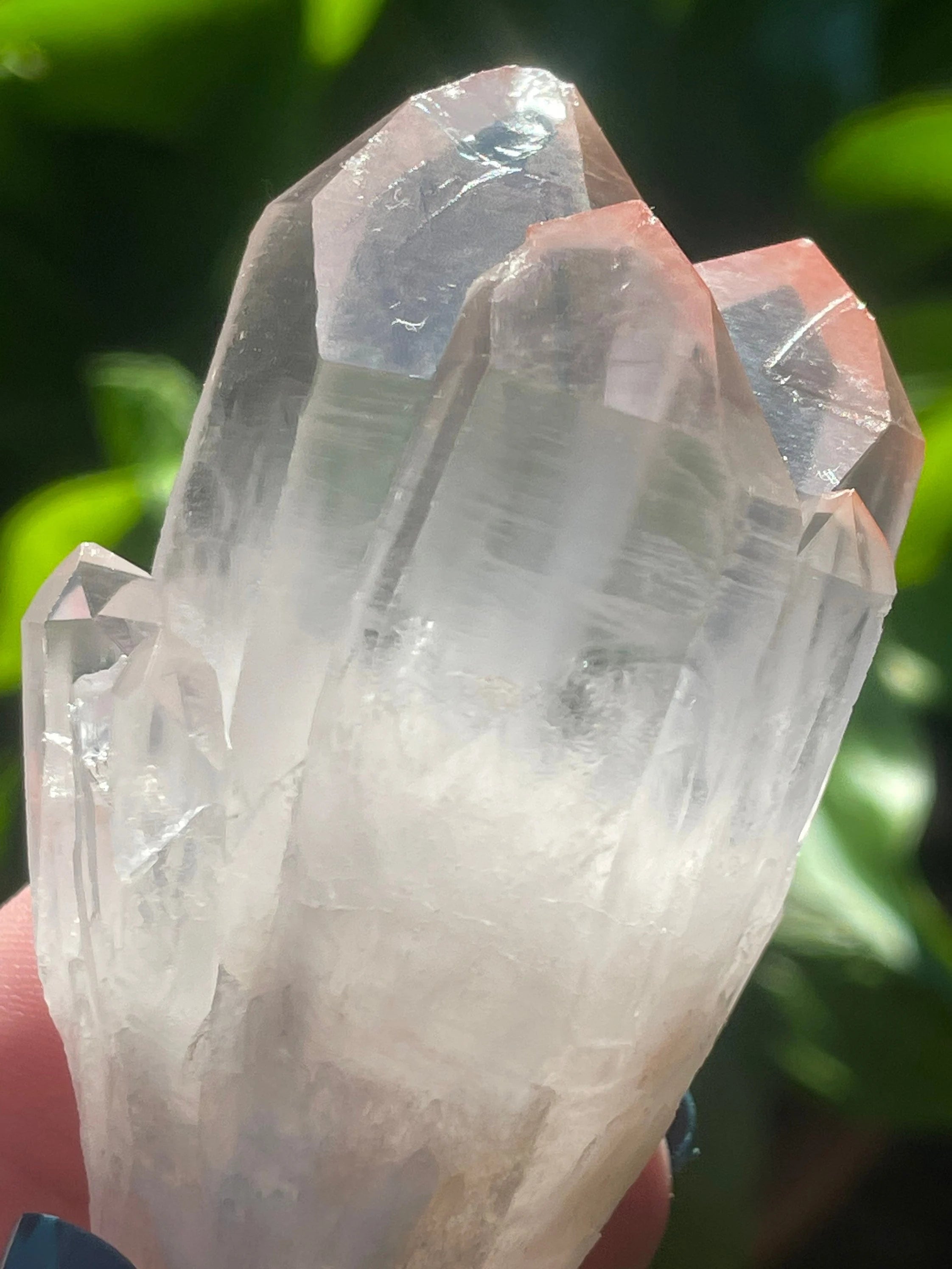 Lemurian