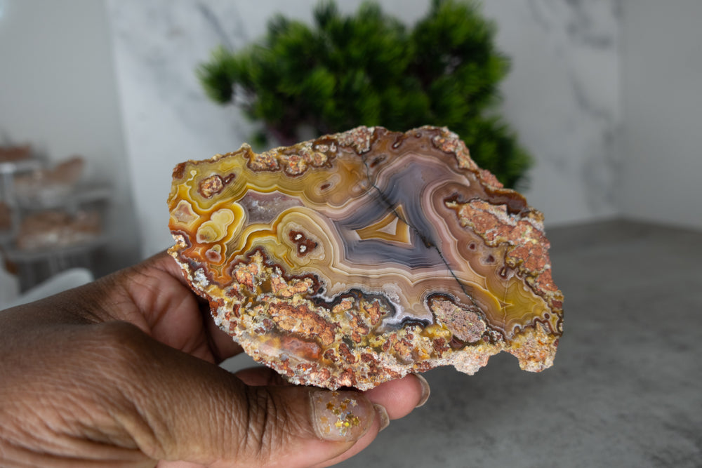 Laguna Agate