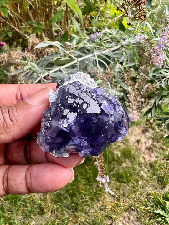 Dark Purple Tanzanite Fluorite on matrix from Fujian, China