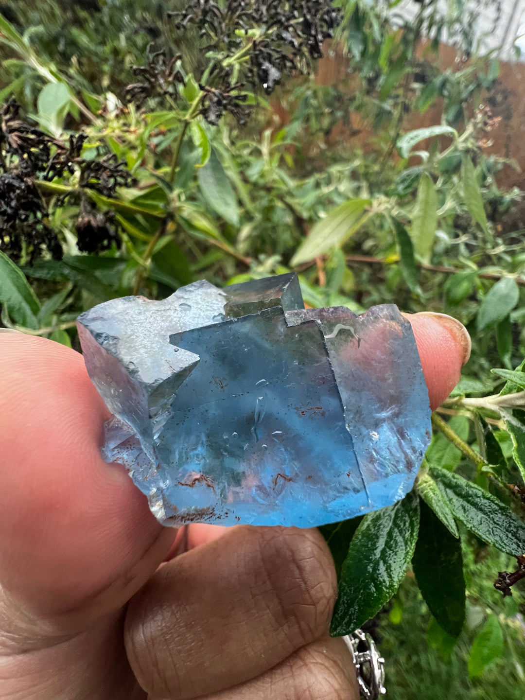 Blue Fluorite Crystal Mineral