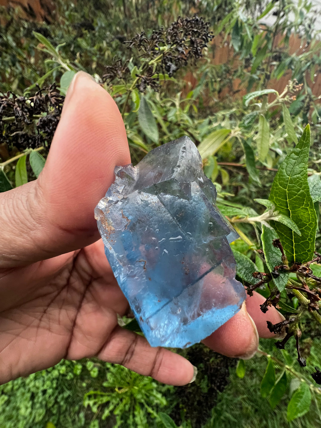 Blue Fluorite Crystal Mineral