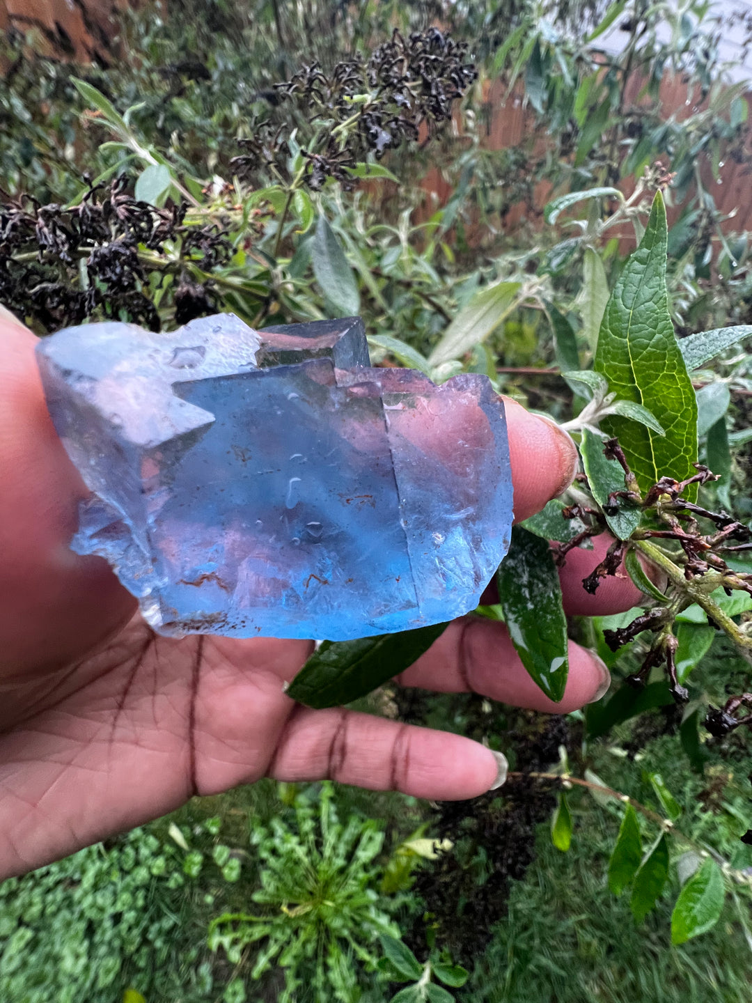 Blue Fluorite Crystal Mineral