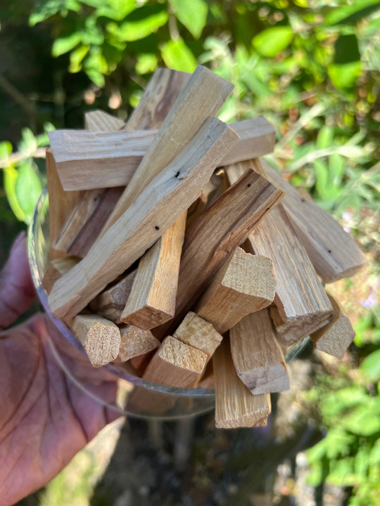 Palo Santo Wood