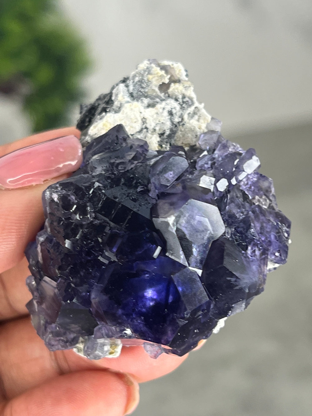 Dark Purple Tanzanite Fluorite on matrix