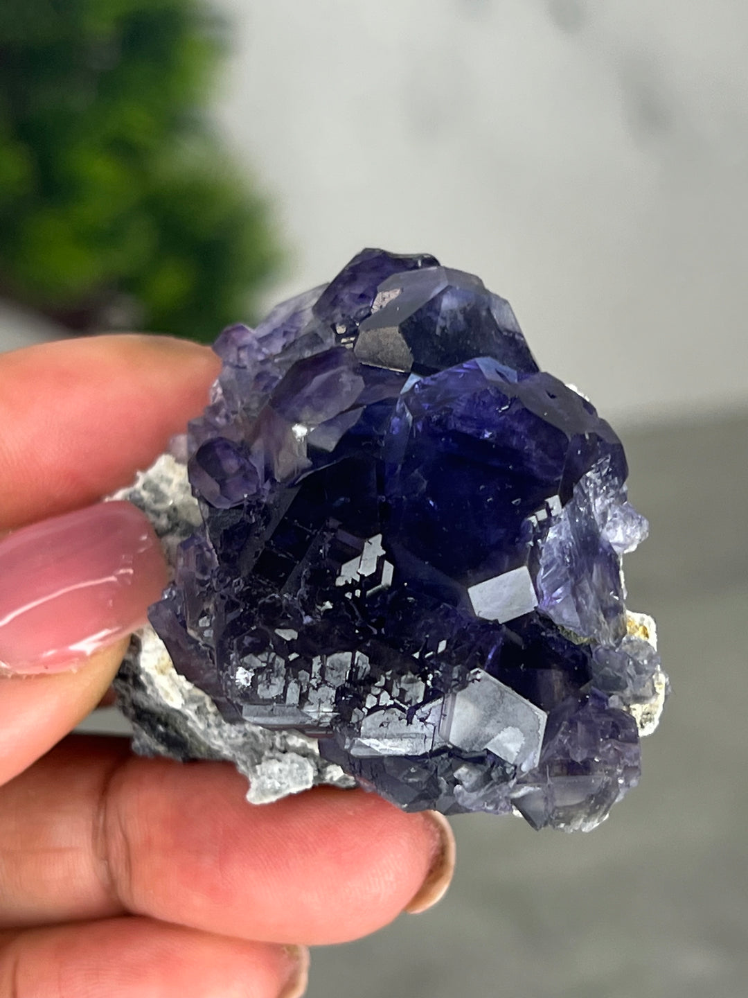 Dark Purple Tanzanite Fluorite on matrix